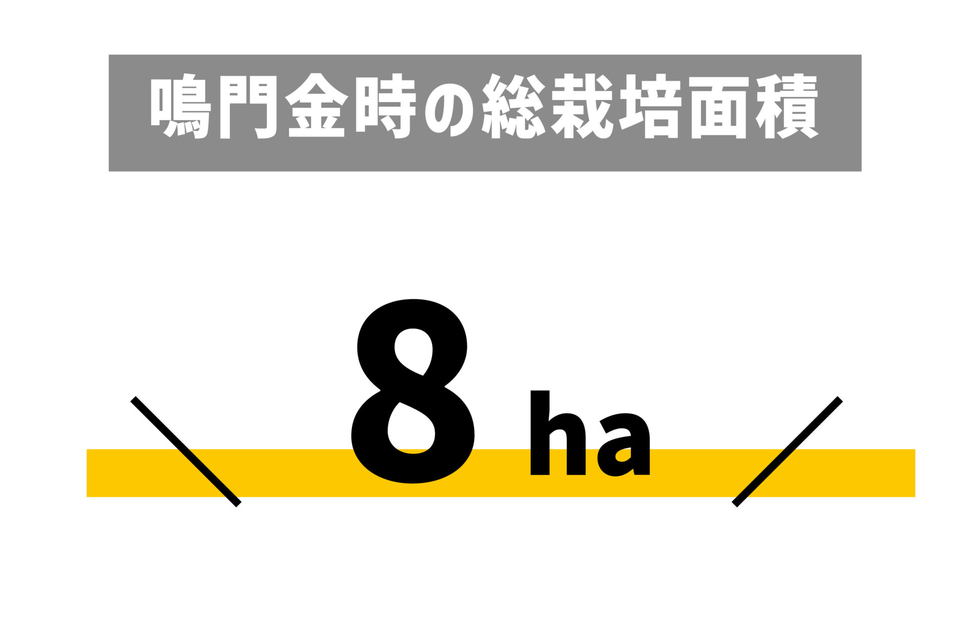 鳴門金時の総栽培面積