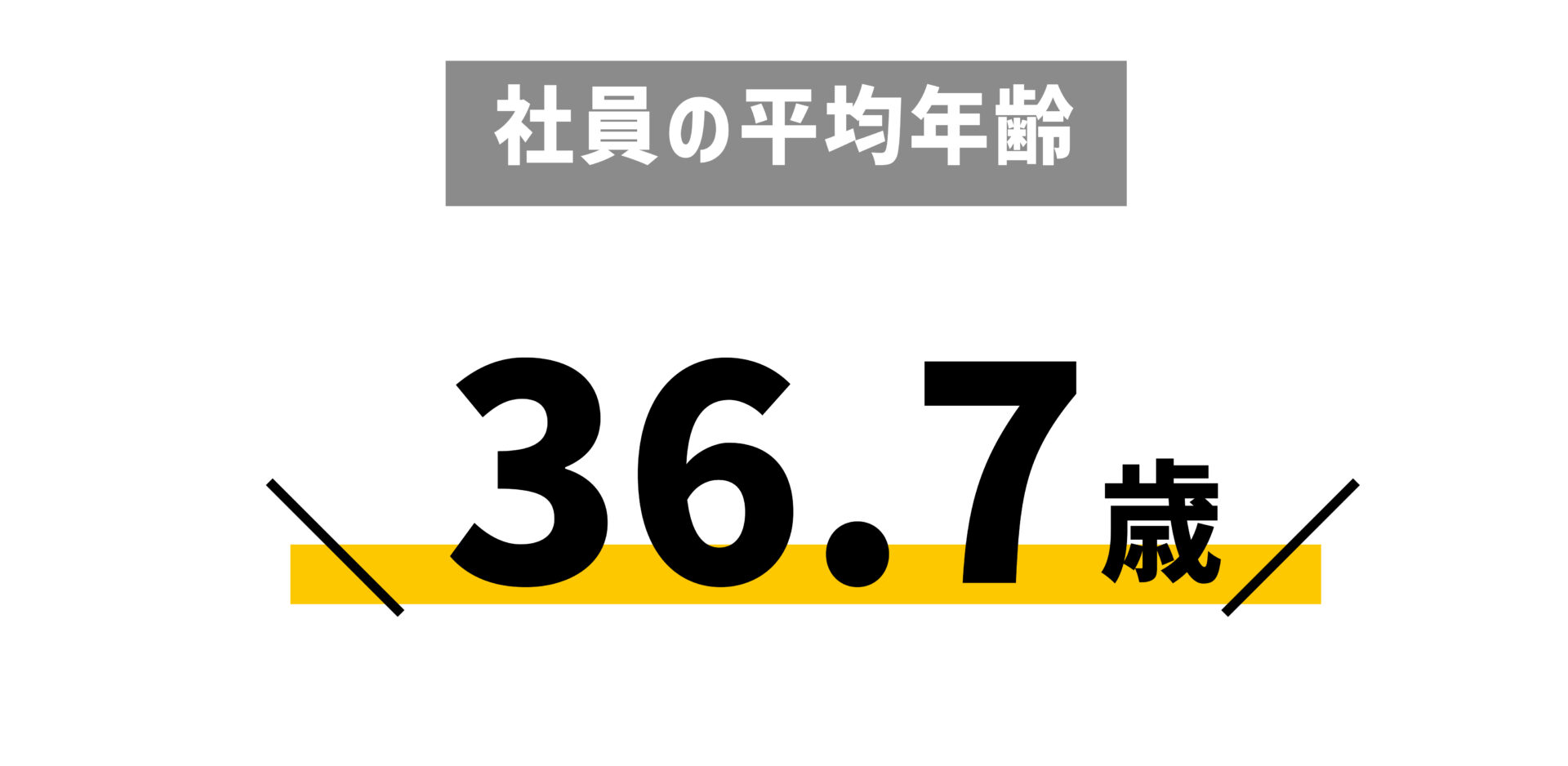 社員の平均年齢